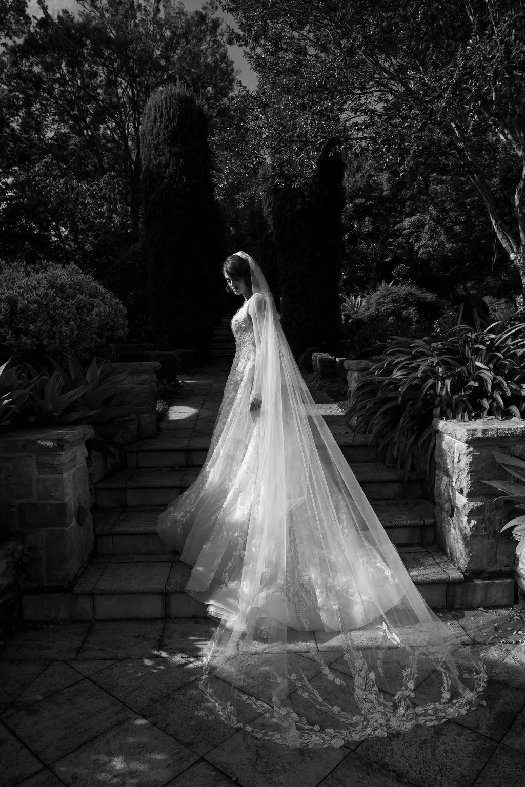 Livia Veil